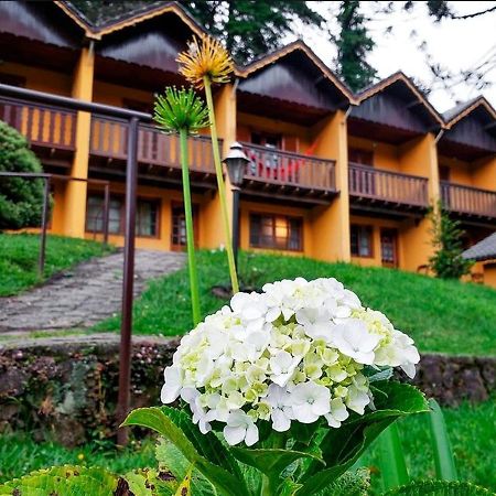 Pousada Sonho Verde Monte Verde  Exterior photo